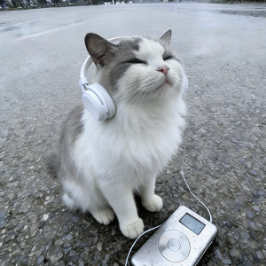 木桌上的小宇宙