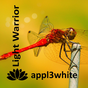 Light Warrior