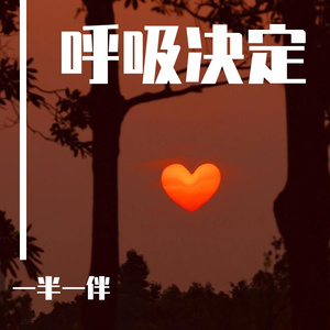 呼吸决定（女版翻唱）（Cover FINE乐团）