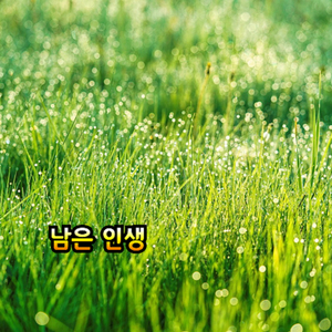 남은 인생