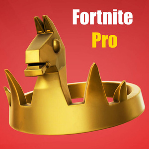 Fortnite Pro