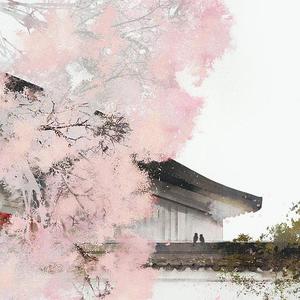 游