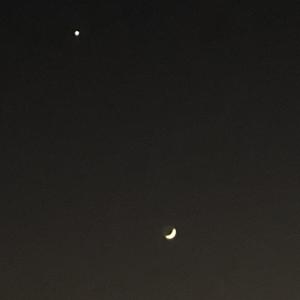 可不可以给我你的微信 (片段)