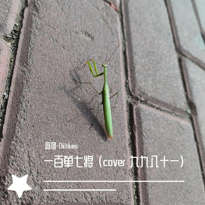 一百单七将 （cover 乐正绫 九九八十一）