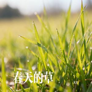 春天的草