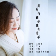 如果当初是我先放手 (DJ版)