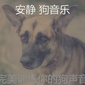诗意的训练你的狗节奏