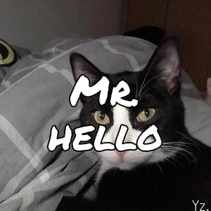Hello 先生