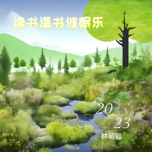 鸟语安静 (空灵鼓)