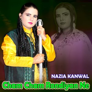 Jaa Man Diyan Marziyan Kar