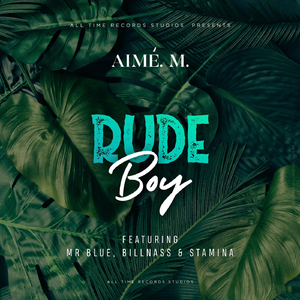 Rude Boy (feat. Mr.blue, Billnass & Stamina)