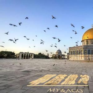 耶路撒冷（prod by Lv9）