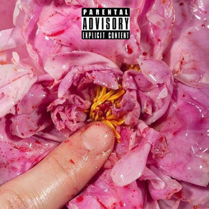 梁老师Tsong-不如不见面（JA$on remix）