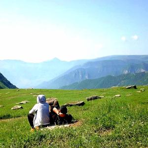 对不可预知之未来的艰苦推测暨致敬张蔷老师