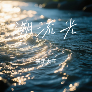溯流光