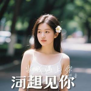 当我遇上你 (Cover 刘德华)