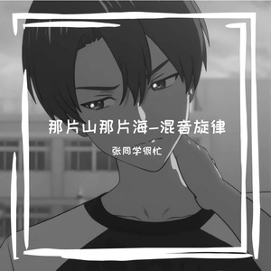 那片山那片海-DJ旋律混音版