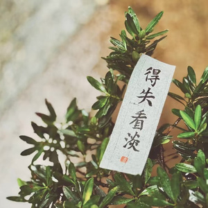 高鱼-过活-wav（順利 remix）