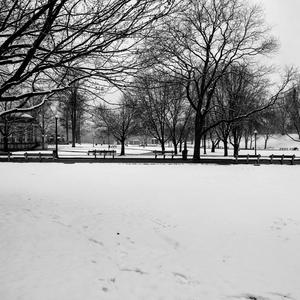 A White-Knuckle Panic