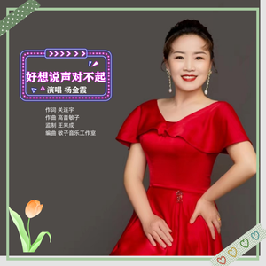 好想说声对不起 伴奏