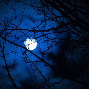 Goodnight Moon (Remastered)