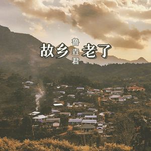 故乡老了