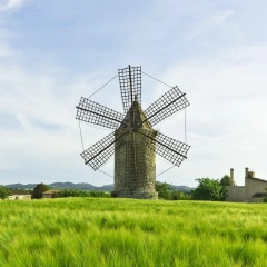 那只蝉就是整个夏天 (钢琴曲)