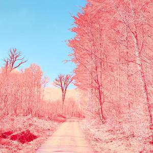 [FREE]Candy "Kawaii Bass Type Beat"