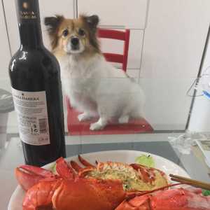 最幸福的事（翻自 鍾嘉欣）