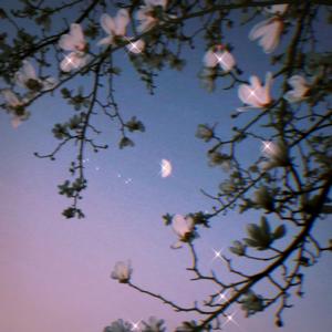 兰（Prod.by Keerad）