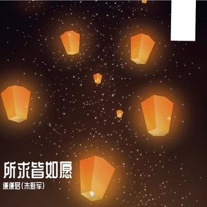所求皆如愿