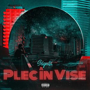 Plec in Vise