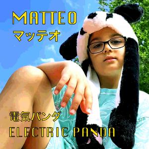 Electric Panda