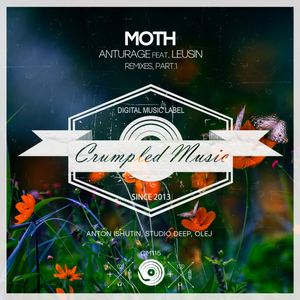 Moth (Anton Ishutin Remix)