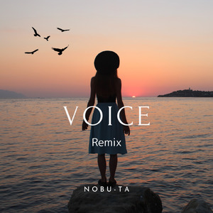 VOICE (Remix)