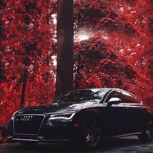 我也会偷看被我推开的你