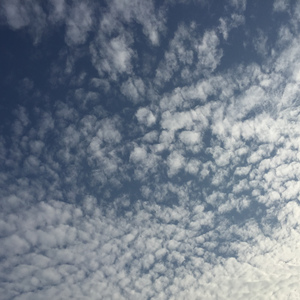 Serenade --Franz Schubert