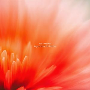 Me Dejé Sentirlo Todo