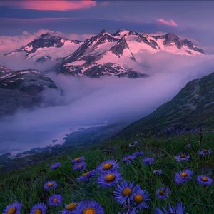 爱的倒计时prod.misogyny