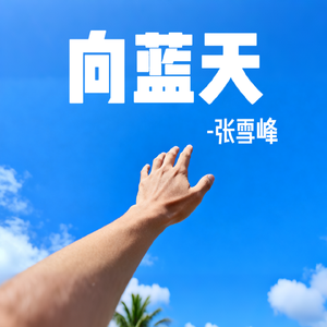 向蓝天