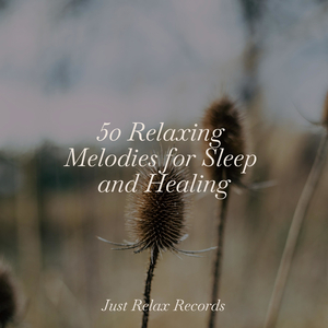 Whispers of the Sea Mist