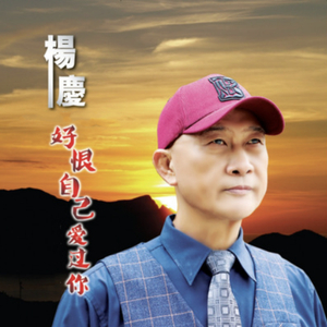 好恨自己爱过你