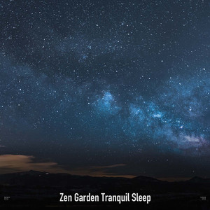 Birds Chirping And Water Sounds