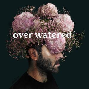 quiet friends/ catfish