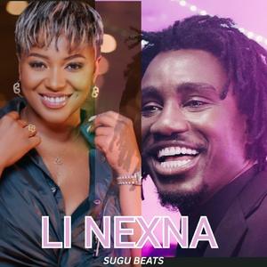 Wally B. Seck X Mia Guissé (LI NEXNA) INSTRUMENT