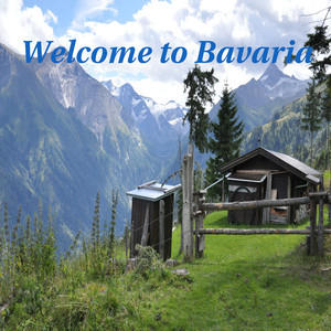 Narrische Schwammerl