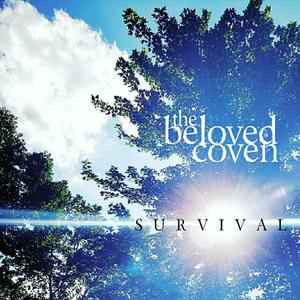 I Could Make Everything Better