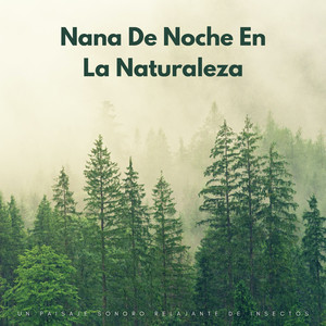 Nana Nocturna De La Naturaleza