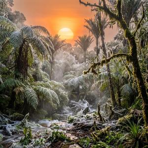 Min Vilje (Minha Vontade)