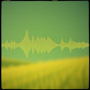 That's why by @radiolyricslab